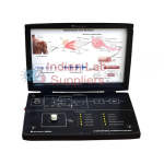 Electromyograph Trainer